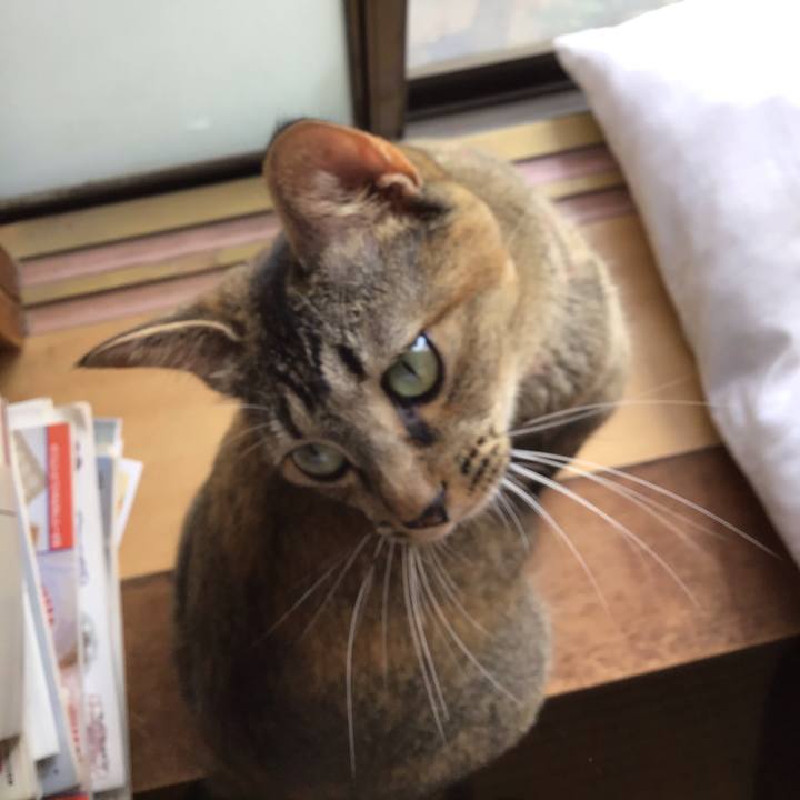 D5b3e97f 5b47 4dfd 9239 7e89c3fdcf1a 1596669666859