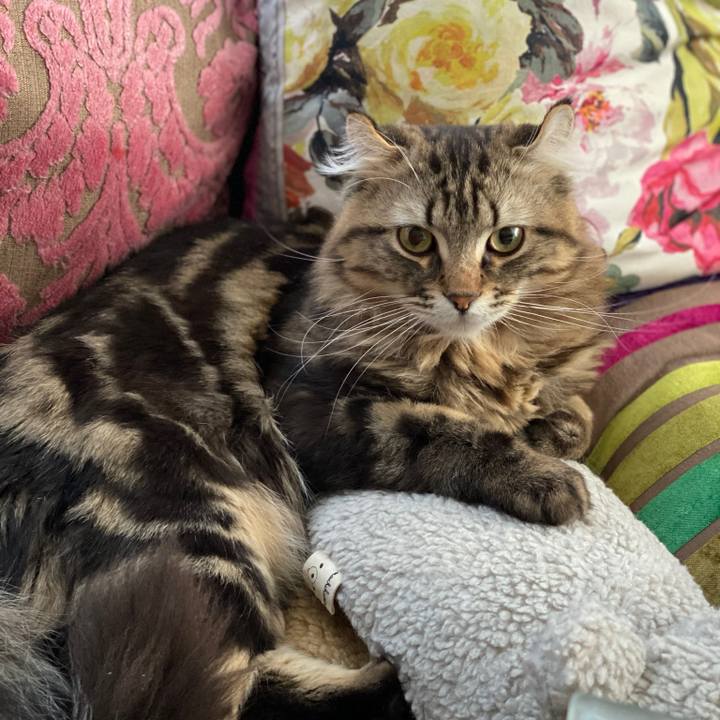 D5b40595 f876 4918 883a 14869a267d89 1583198721099