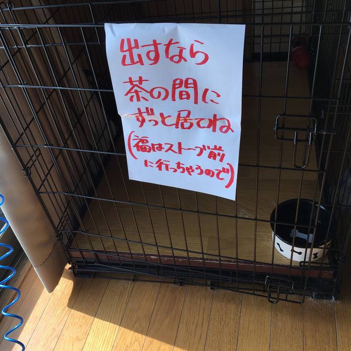 D5b47f47 1d5d 4898 8d81 94bffeaf02fa 1553289050129