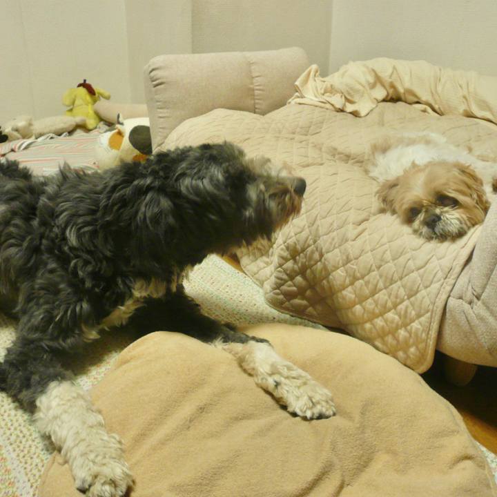 D5b489ad 65c1 41f7 9892 2511c8f8c551 1642745287661