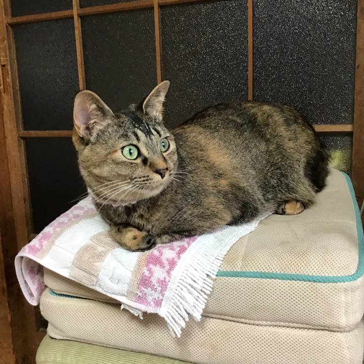 D5b4a701 8cf0 47c8 99aa a4b4f6cd8754 1655417923205