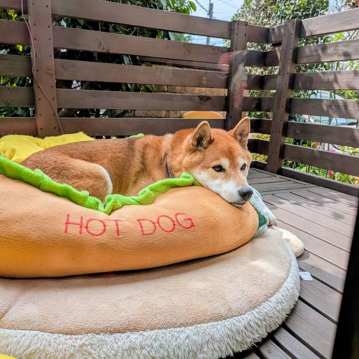 D5b4c1f3 796f 43df aaac 212a956570a4 1743157941529