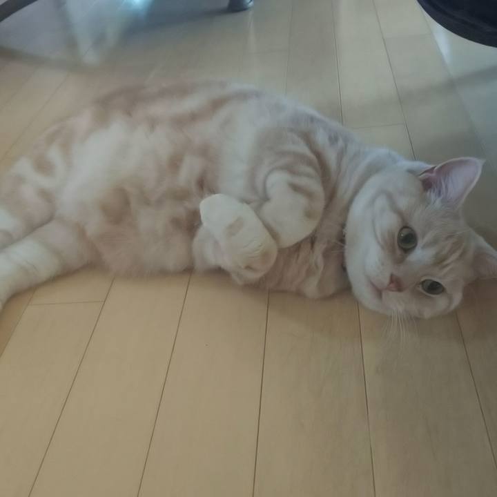 D5b4c22c 02f1 4b01 8b72 d05e329330ec 1542584477807