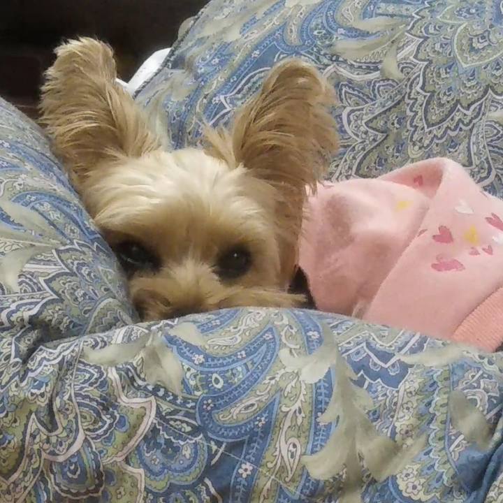 D5b50896 597c 4b5e b27a 0d54396edd9e 1604834876539