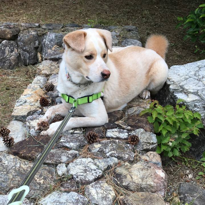 D5b521b6 bb29 4303 aae8 ceb87179b273 1526164787394