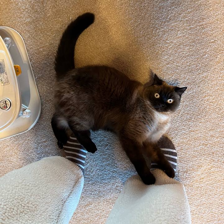 D5b52ad9 c5f6 48db b5bb 725fcf58416c 1675032565341