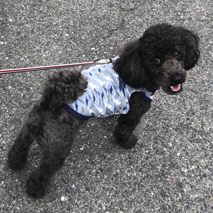 D5b54cbe a2f8 4012 83b8 bcfb72d40bd1 1591865915396