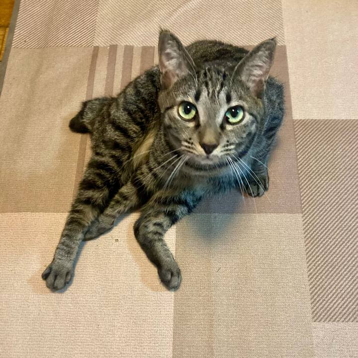 D5b57f55 0f03 4736 9aeb cff2eb0968d0 1776466813814