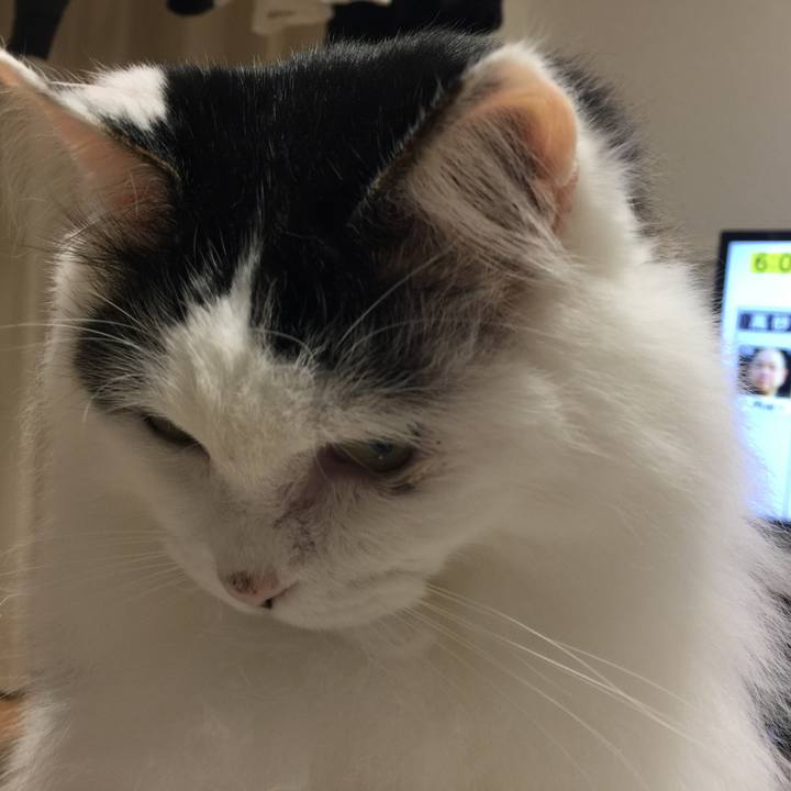 D5b58e65 04e9 4ddc b8f8 4f6ee47e4215 1517486915853