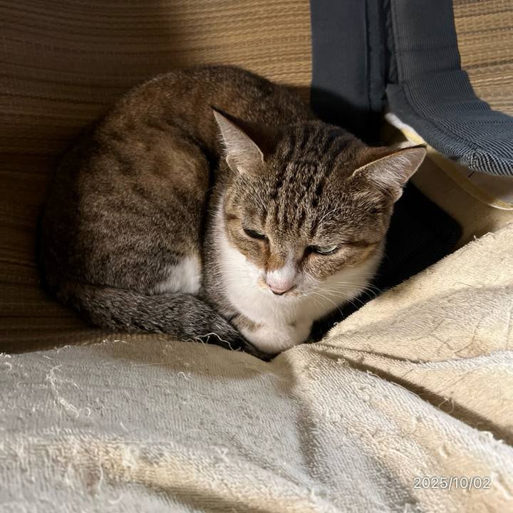 D5b595b2 0d6f 4236 a437 0509e1e95e51 1759356487351