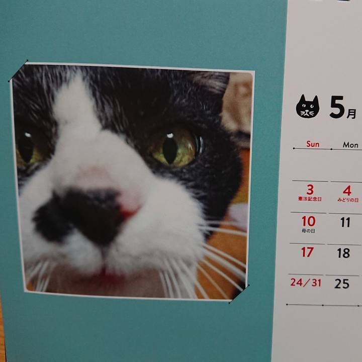 D5b5b4ef 7fde 4fc2 9aba de9f3dccdd59 1588918500106