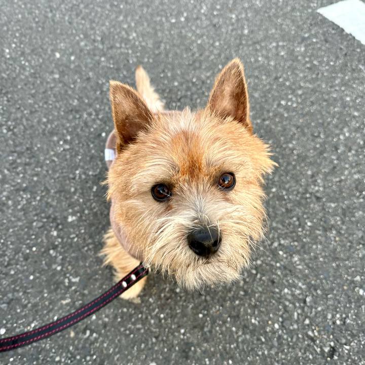 D5b5c79c 256b 4bab aa48 b855b752f1f2 1736054059801