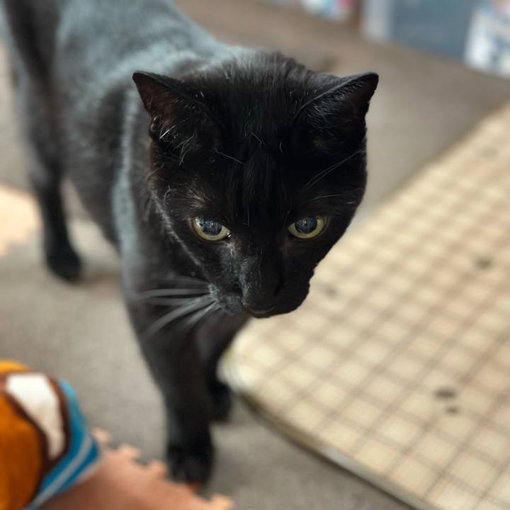 D5b5d27b 1dee 4d40 8034 7d4c35086316 1693352230816