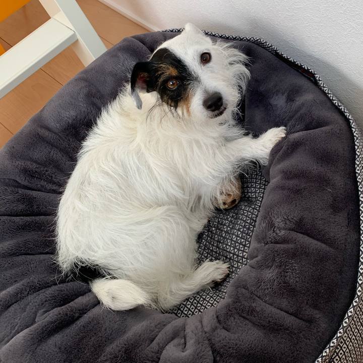 D5b5e496 87a9 4a83 9dcd 019da30d50ae 1597444809394