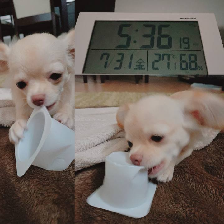 D5b5eeda 52f5 4052 b27f cacd47843442 1596142716278