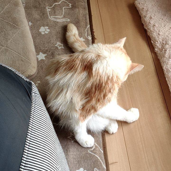 D5b648cd f410 425f bb2a df77ad81e13e 1680236378686