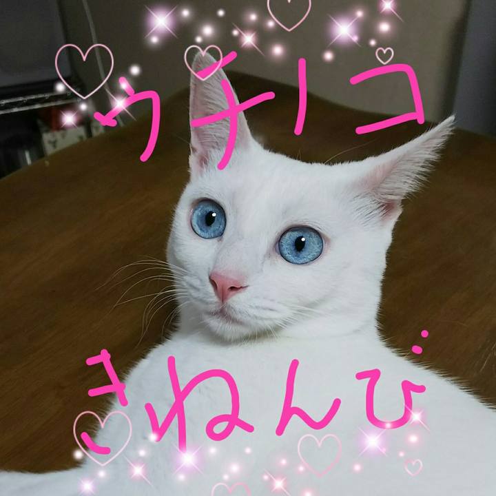 D5b67fb2 f89b 44dd aec9 d9bfac32e9f7 1534468411526