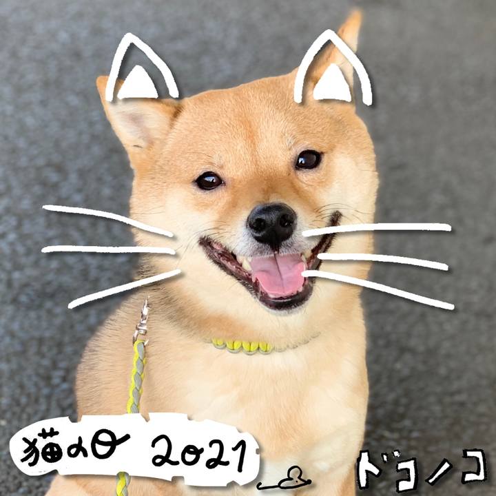 D5b69def 808b 4b75 b0d1 1aa042a37ed2 1613966351601