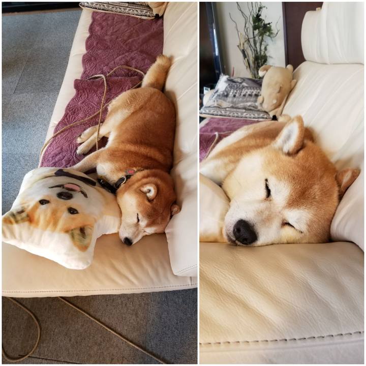 D5b6c15e 09ef 4a62 9235 e7b192f281a7 1589688390061