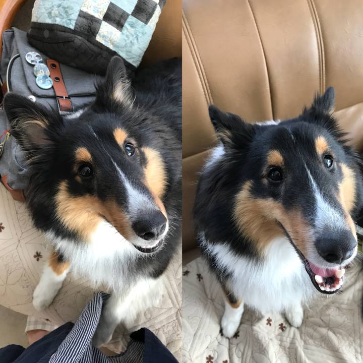 D5b7072c 822a 45ea a855 30588084253b 1533166673705