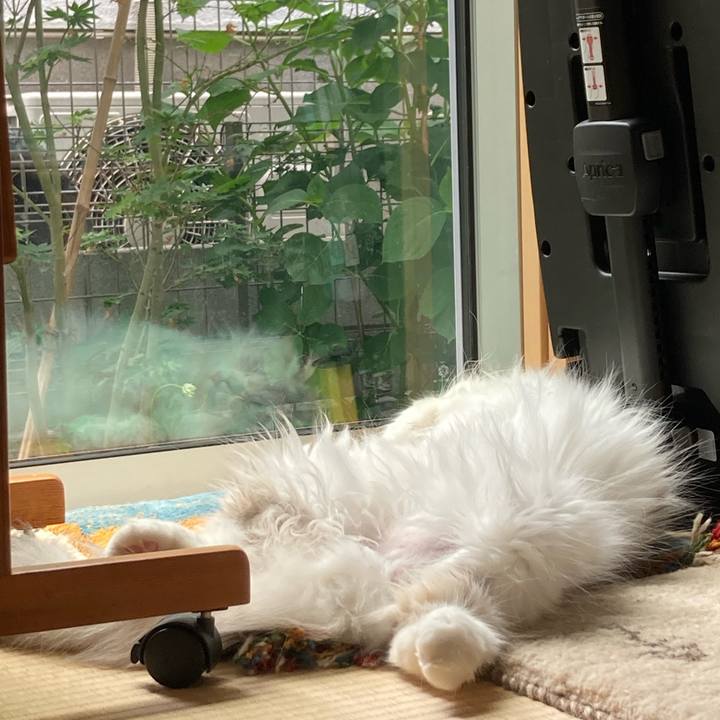 D5b70aaa 58eb 46a4 be90 5c254f743152 1653099034845