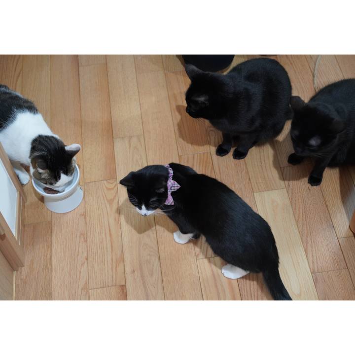 D5b7286a f837 47d1 8b7b 016fb015a2ad 1581465695699