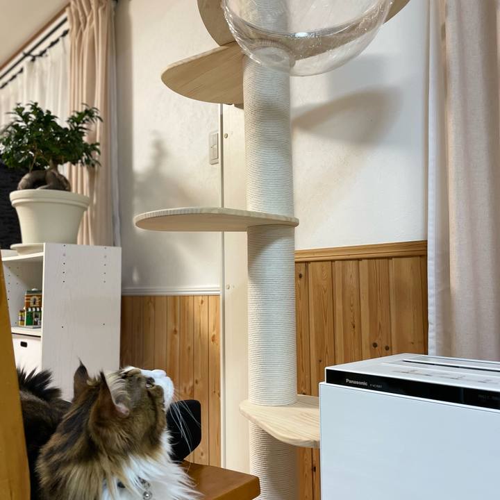 D5b72cf4 b1b5 48ab b29a 1b79853517e3 1649943405738