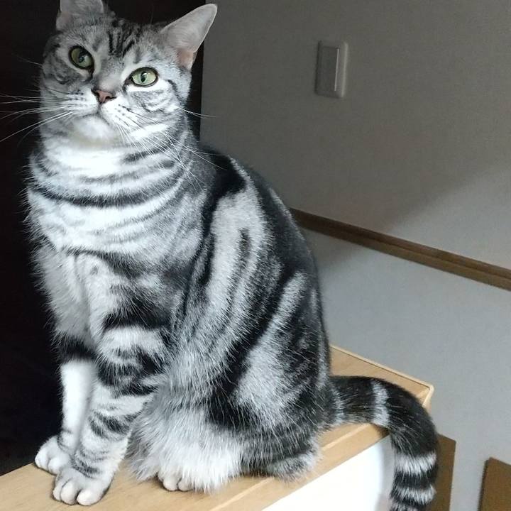 D5b73a6e fe94 4837 929f a1ed5df5be3b 1617509103266