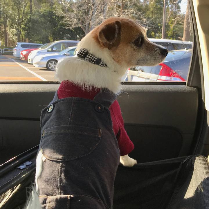 D5b74c83 766c 4d89 bc4a 5cd6166e2304 1578195157154