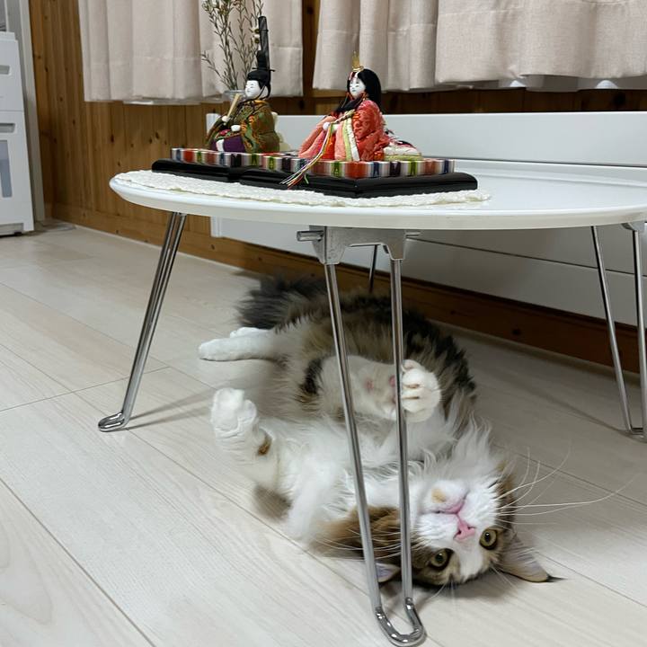 D5b75c59 7700 41a9 bb5b 91e3be146c8d 1646040179700