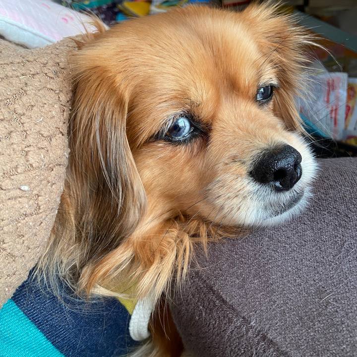 D5b76740 796f 4438 9458 b4336c92776e 1673746448353