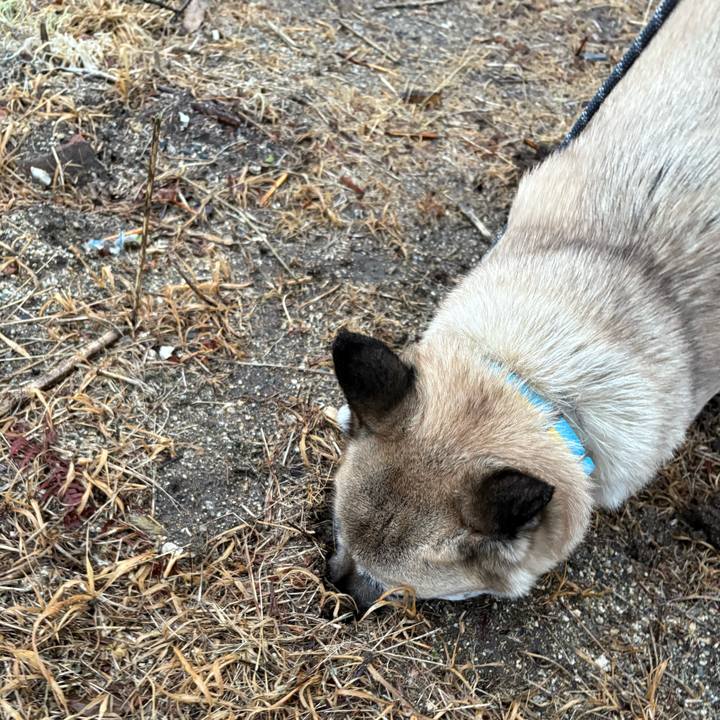 D5b7797e 1eae 4fc6 8716 89d06b59f562 1741003191776