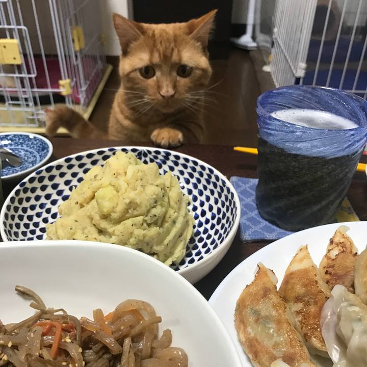 D5b78ab7 32a7 4509 96b4 a887a07d611b 1525779564321