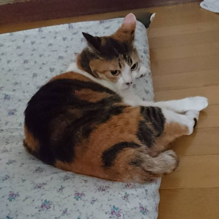 D5b7bb6b 5faa 49f9 8f08 ed89b24ff712 1525127735346