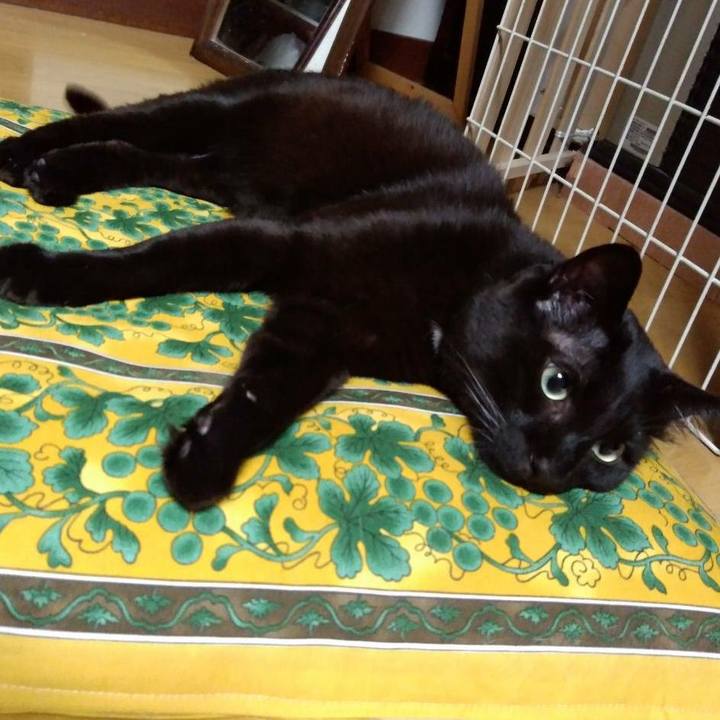 D5b7f006 057a 4096 ae01 50250983a042 1615030445737