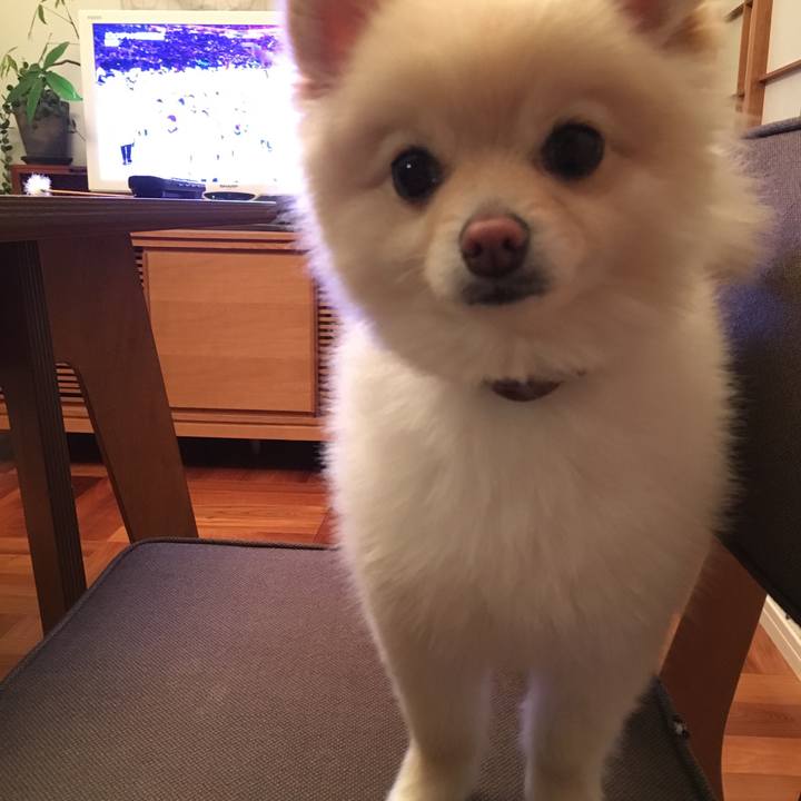 D5b7f03b e52b 4cbe ab21 3c483ba2ed42 1518479001714