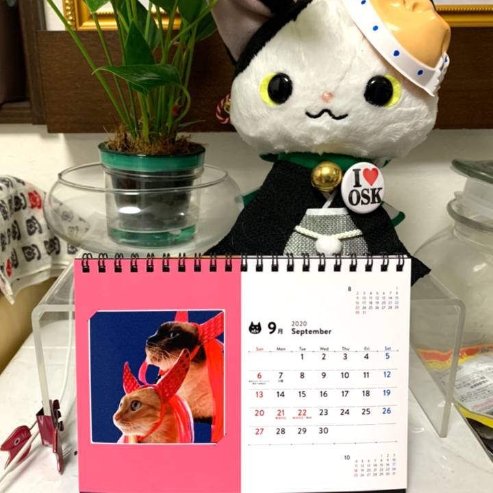 D5b80dd8 95d2 46f4 999e 3732b4afb966 1598913208462