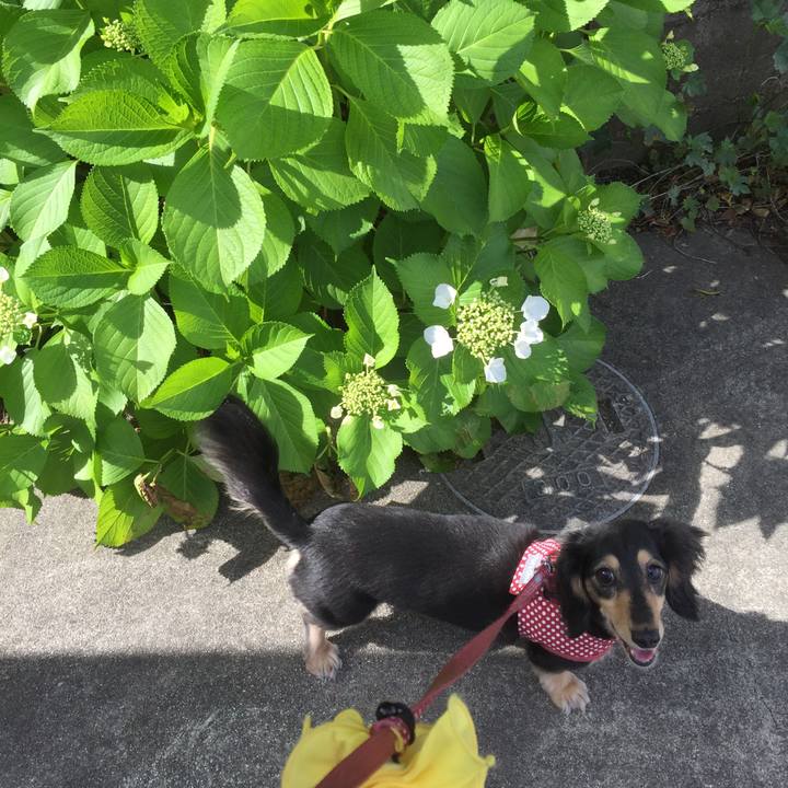 D5b830e1 aae6 4796 bac6 f75b95579fc4 1527207267733