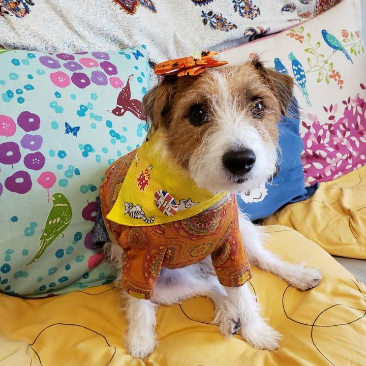 D5b83e9d 03f3 495d bc11 8224f29f7e27 1603581445517