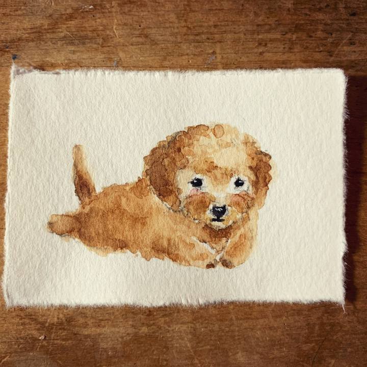 D5b859f8 d98c 4e04 939d 9a6b5ef00253 1622635206330