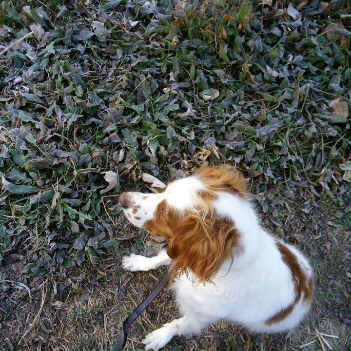 D5b870dc aba1 4537 88ac ceddc89bfbbc 1513556167426