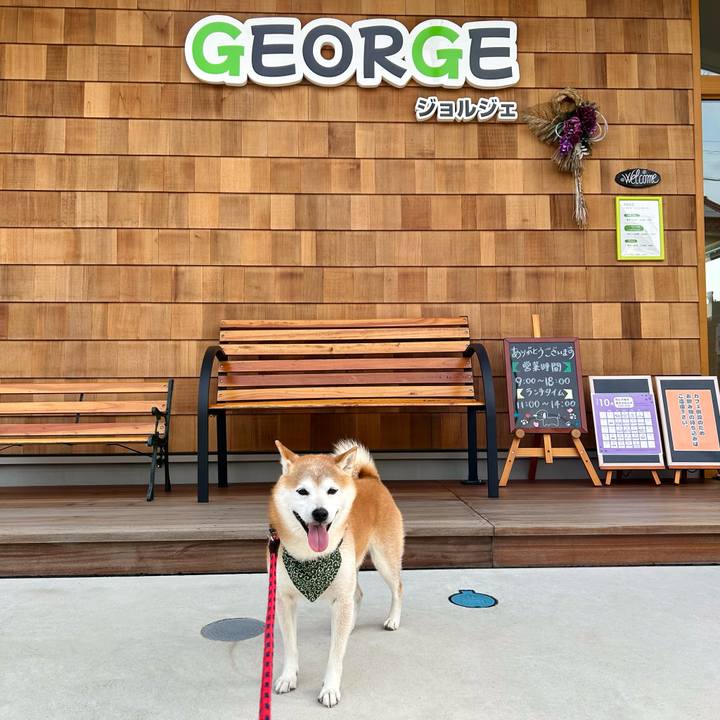 D5b885dd 6ddf 40a8 8508 aeba05f55bb0 1729846407494