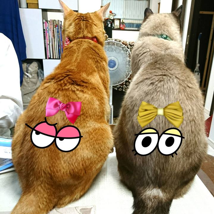 D5b8a512 4577 498e 8a81 2bb450ff6786 1533824638826