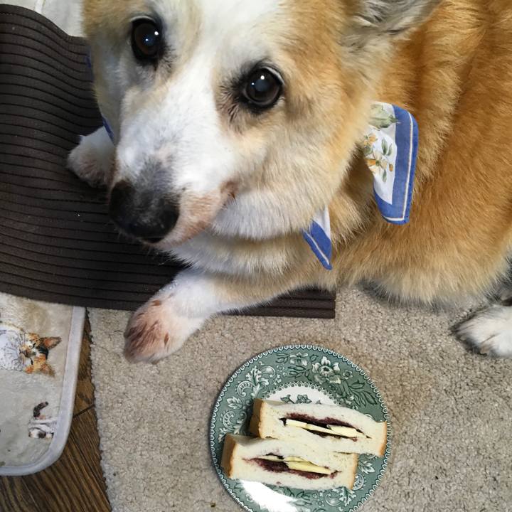 D5b8e461 305f 4a91 8d37 f7da53cc3054 1559077649460