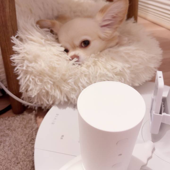 D5b90807 7f93 46f6 a1df 2bd76971e82a 1747741515439