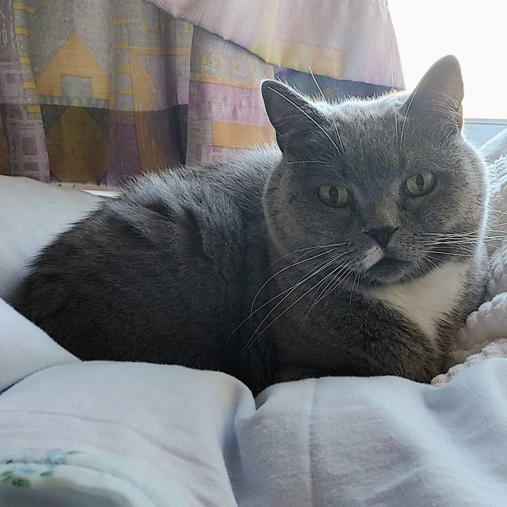 D5b9343b 8e6c 4d75 95d2 6d9d44f0f050 1767400756453