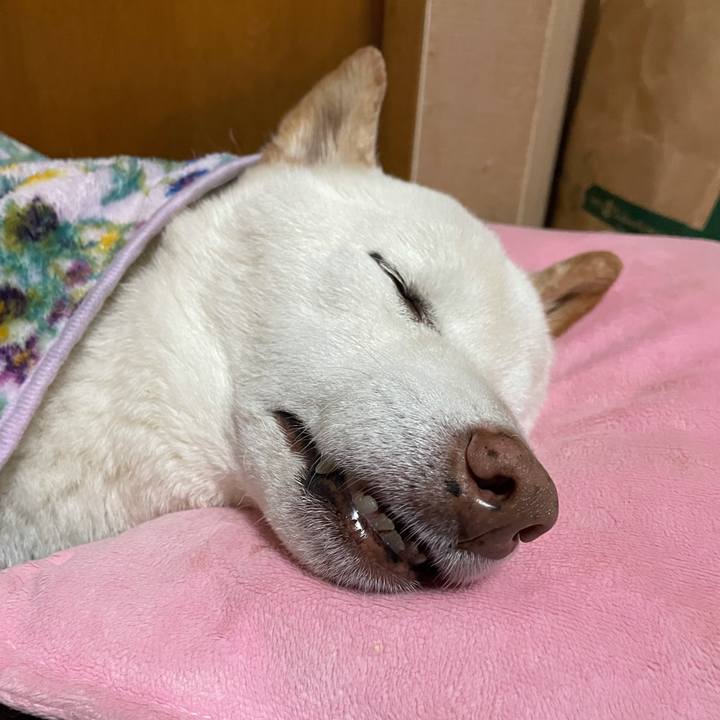 D5b94fdf 8b93 4585 9b13 812dfc2664ca 1638543672548