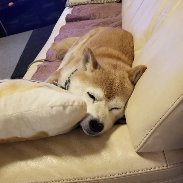 D5b9636d d8d2 4921 b4c9 fb0ac9312e40 1708384345923