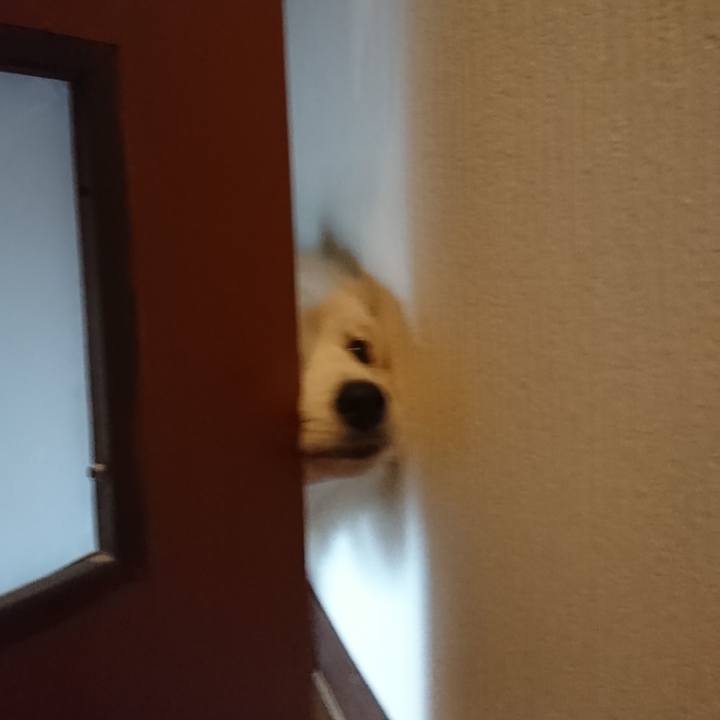 D5b985a9 e0b7 4f03 9586 4196e6b1d7f0 1535751401319