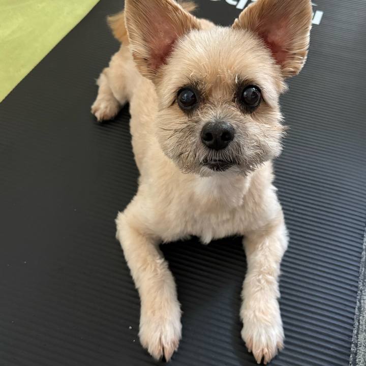 D5b98867 38fe 4af7 87ac 2eaa536e7c41 1753249034035